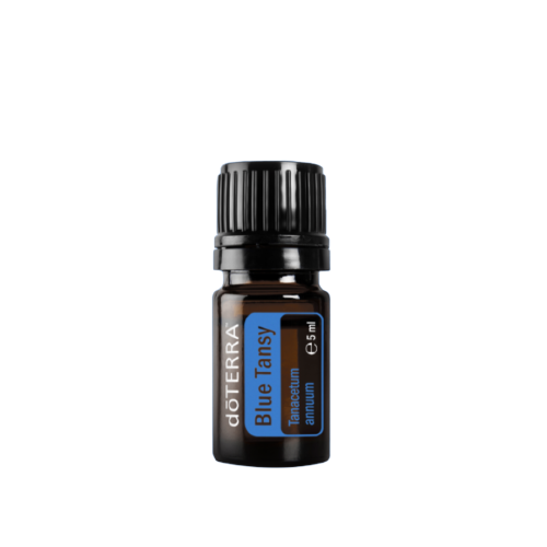 Synergie blue tansy